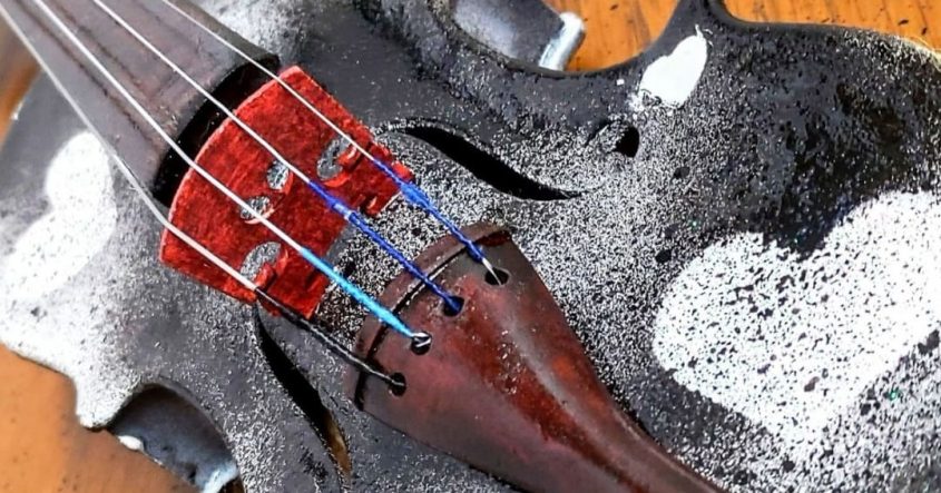 A una rosa salvaje, MacDowell