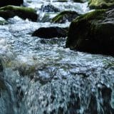 River flows in you